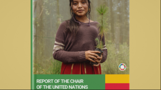 Relatório Anual do Grupo de Desenvolvimento Sustentável das Nações Unidas (UNSDG) 